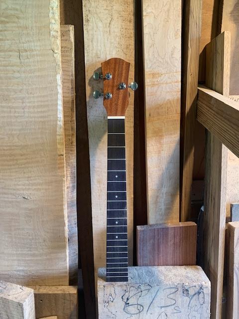 Zippy 3 String Neck | 20 Inch Scale