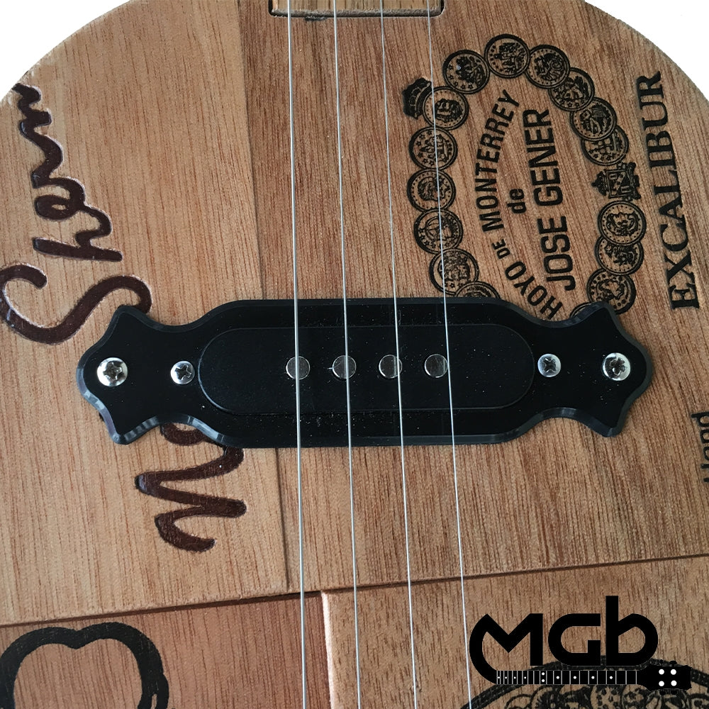 4-String Black Pickup Vol/Tone/Jack