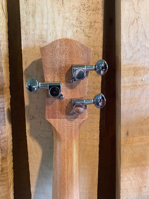 Zippy 3 String Neck | 20 Inch Scale