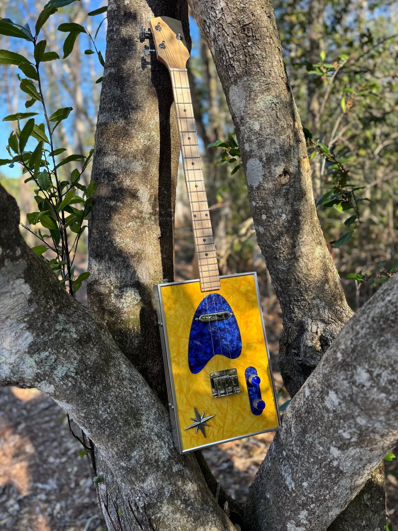 Boxxy CBG Kit...Yellow and Blue Cracked Ice