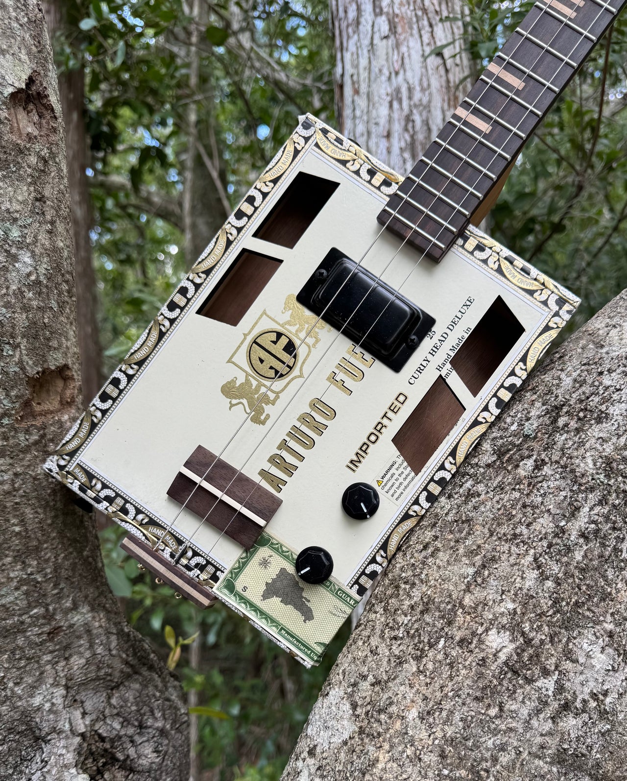 Easy CBG Kit For First Timers