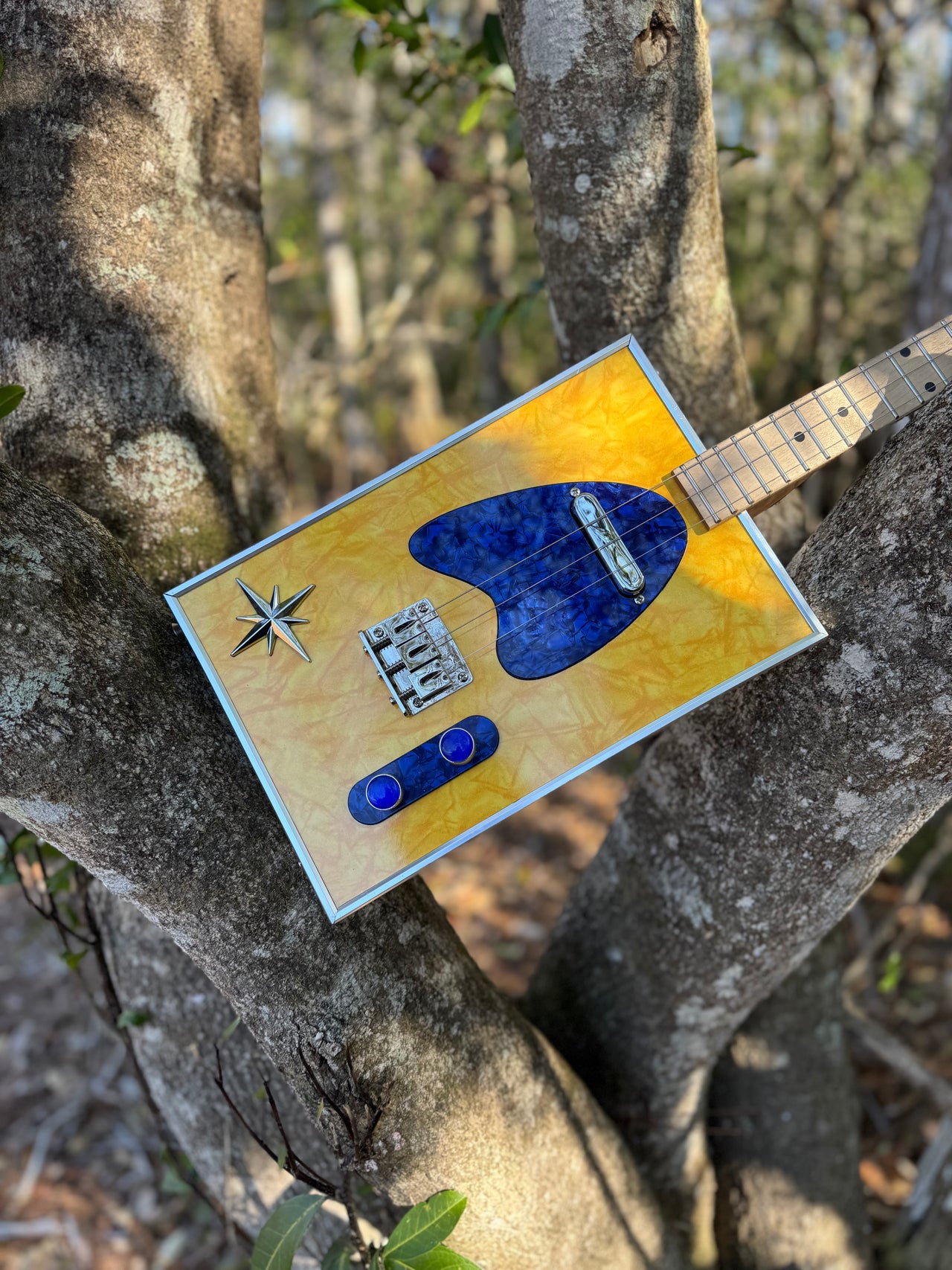 Boxxy CBG Kit...Yellow and Blue Cracked Ice