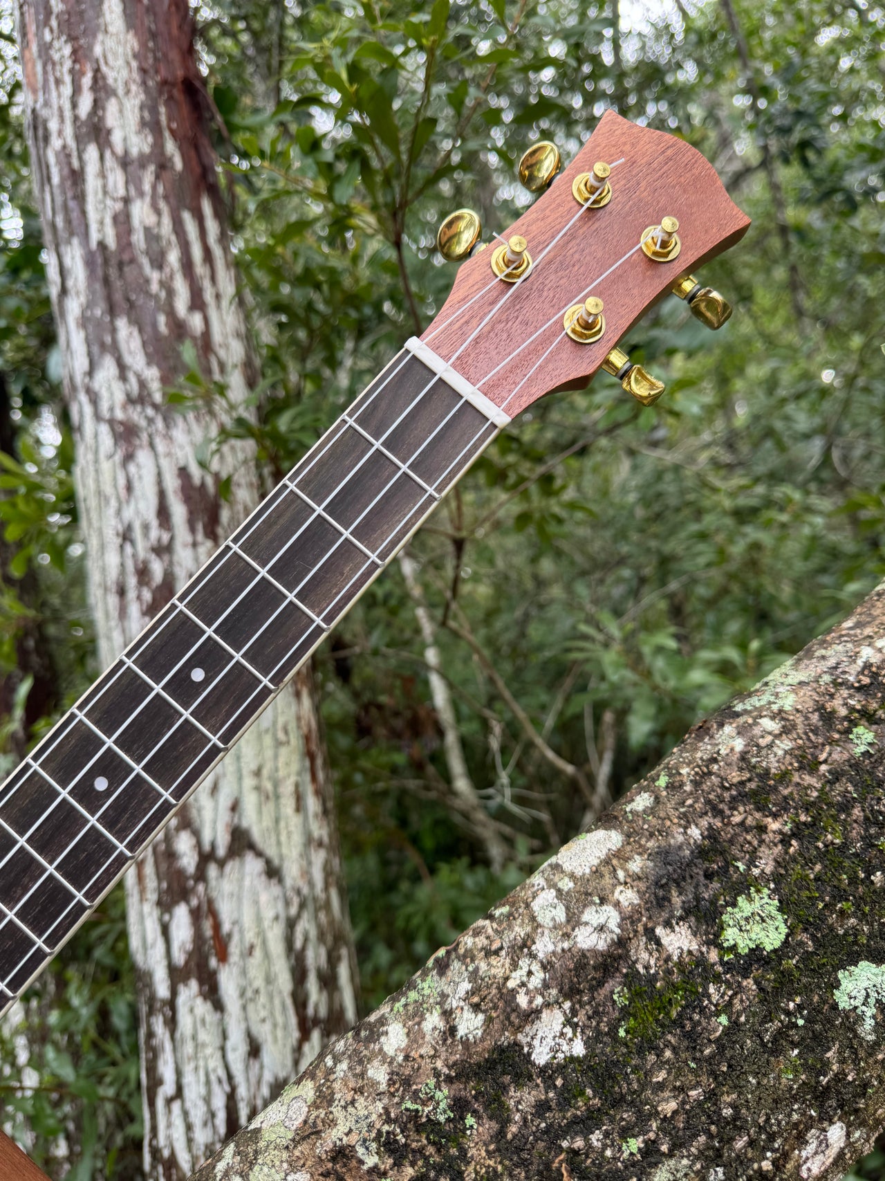 MGB Deluxe Xtra Wide Tenor Ukulele Guitar Kit