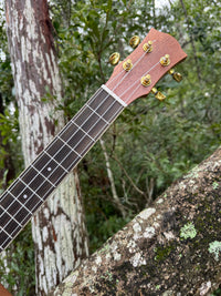 Thumbnail for MGB Deluxe Xtra Wide Tenor Ukulele Guitar Kit
