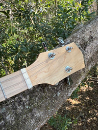 Thumbnail for Romeo Y Julieta 3 or 4 String