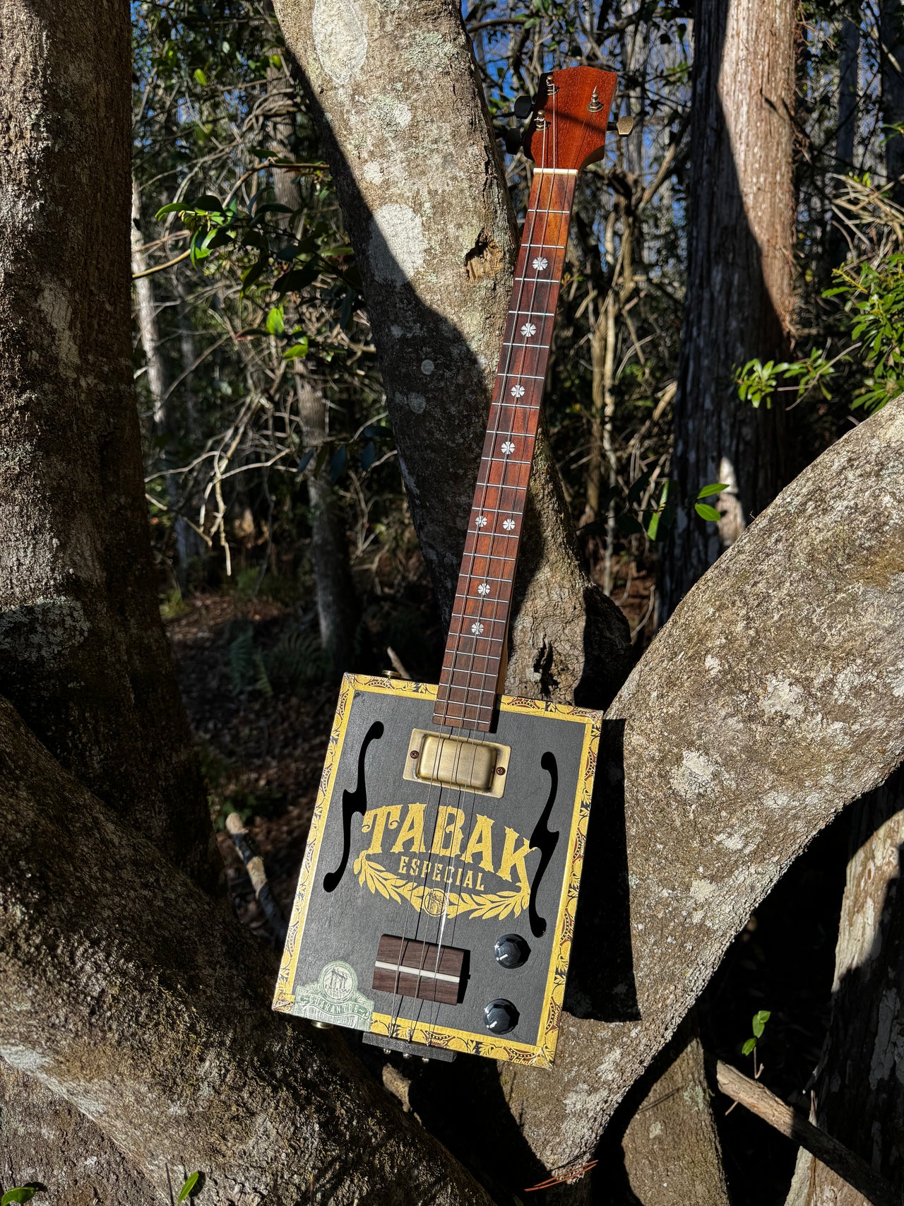 Tabak 3 string