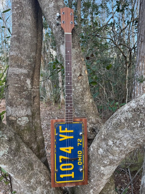 License Plate Guitar Kit