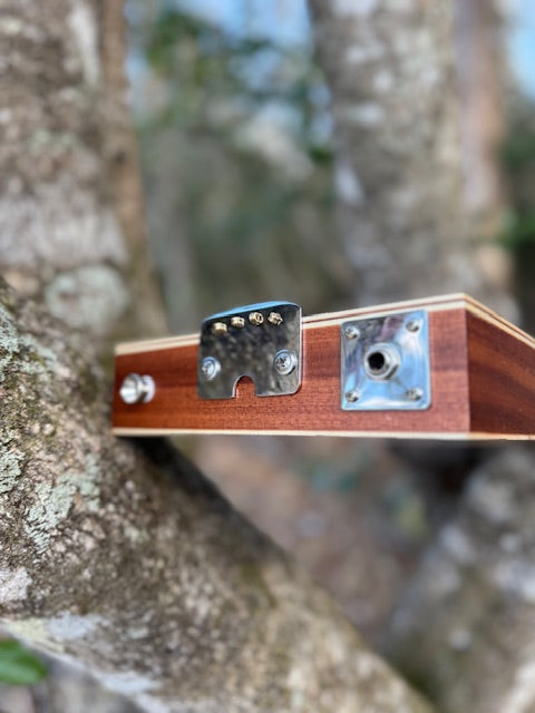 License Plate Guitar Kit