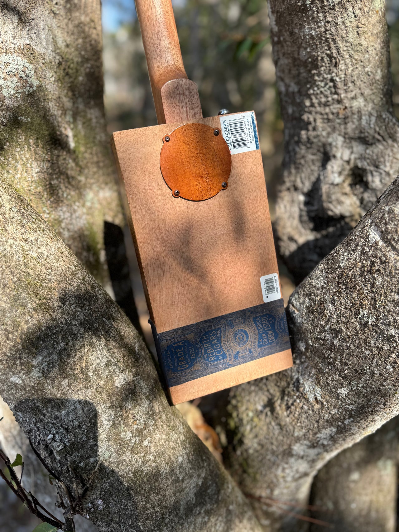 "The Rambler" Undercrown Maduro 3 or 4 string kit