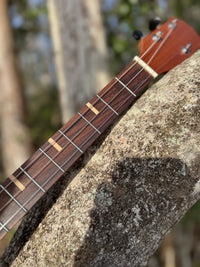 Thumbnail for Easy Neck with Premium Fret Markers