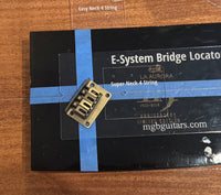 Thumbnail for E-System Bridge Locator Template