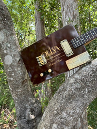 Thumbnail for Oliva 135 Year Anniversary Box
