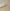 Jack Plate Template
