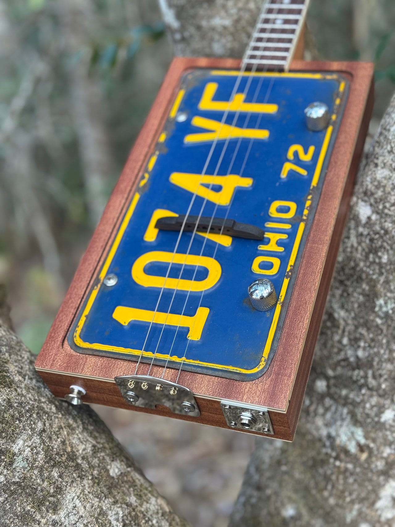 RTP Ohio License Plate Box