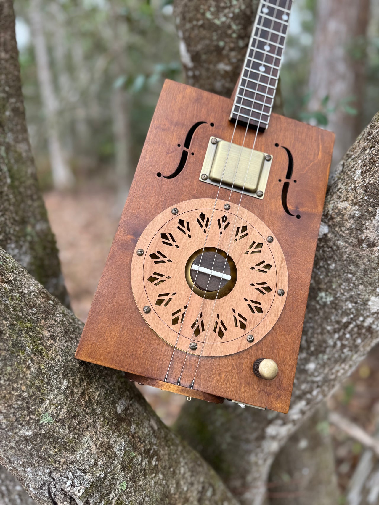 RTP Resonator