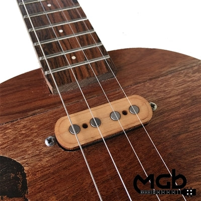 4-String Single Coil Pickup Only