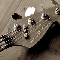 Thumbnail for Bass String Retainer | Chrome