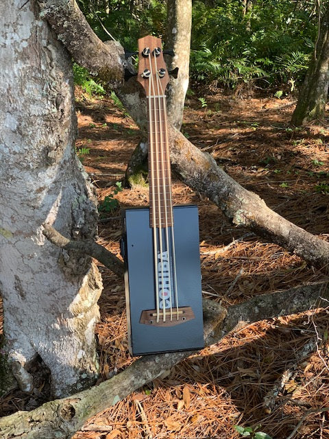 Box Bass String Box Bass Instrument