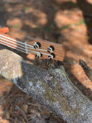 U-Bass Kit- Fretted or Fretless
