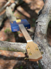 Thumbnail for Easy Neck Okume & Maple Fretted Neck | 24 inch Scale