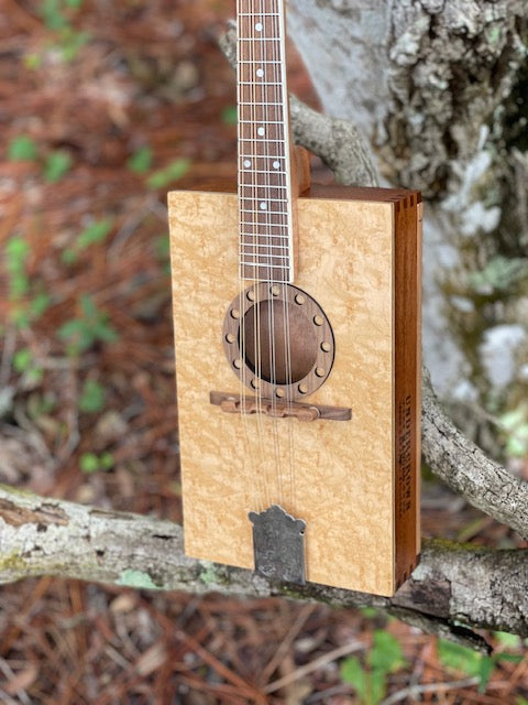 Mandolin Kit