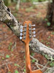 Mandolin Kit