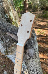 Thumbnail for Carillo Pledge Box and Neck